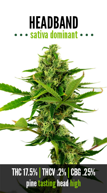 Headband