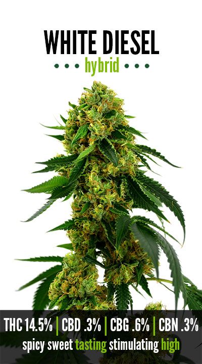 White Diesel